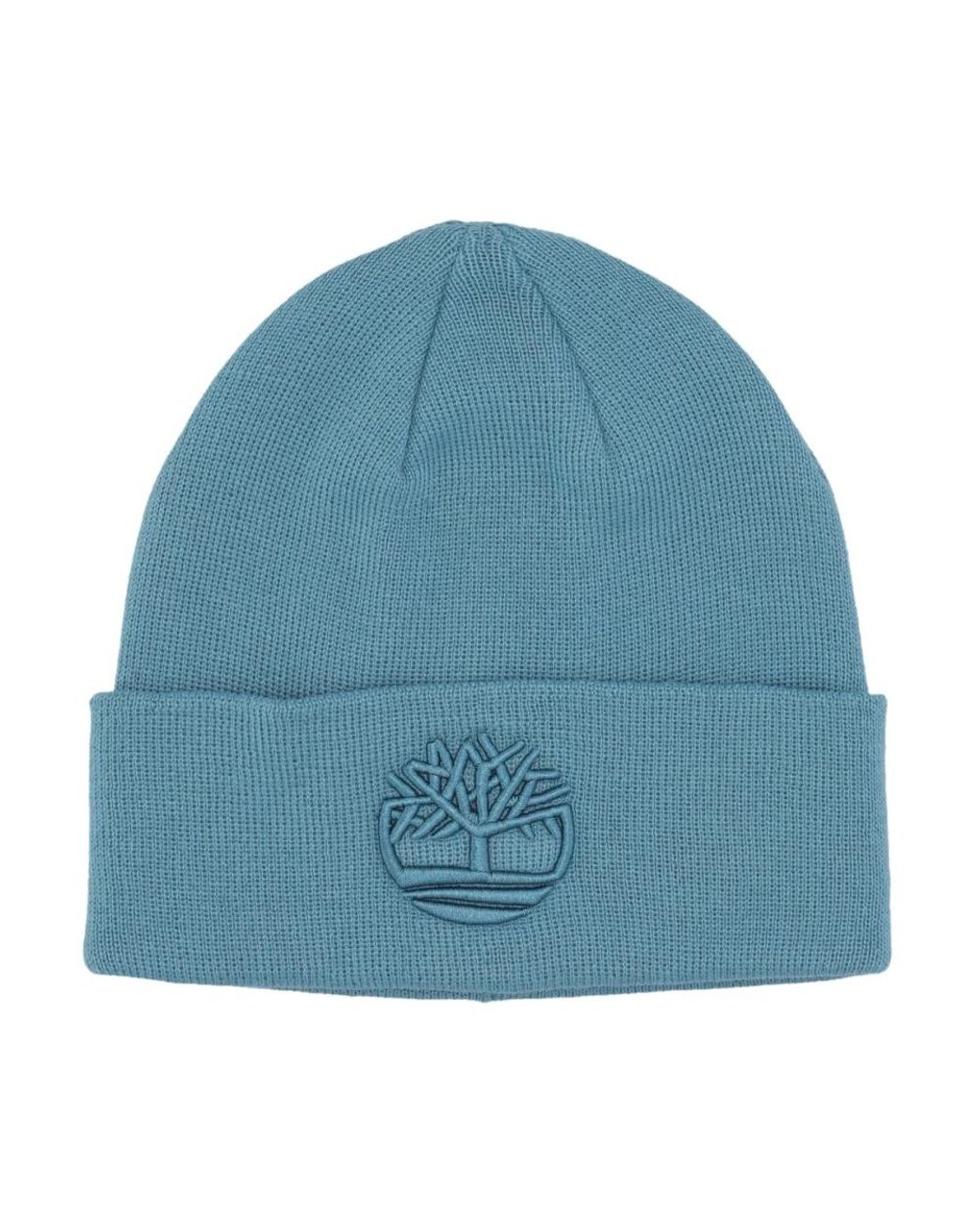 Beanies di Timberland in Blue da Uomo