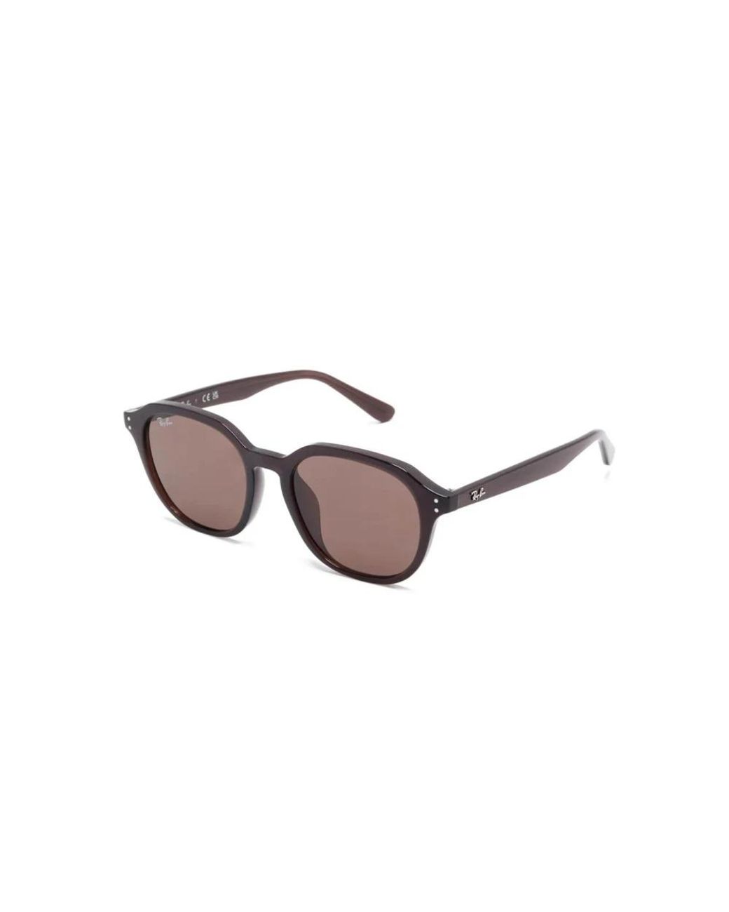 Ray-Ban Brown Sunglasses