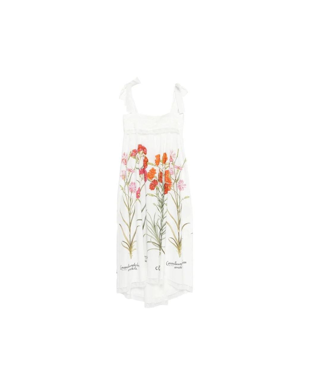 Alberta Ferretti Kleedjes ,Wit ,Maxi Jurk in het White