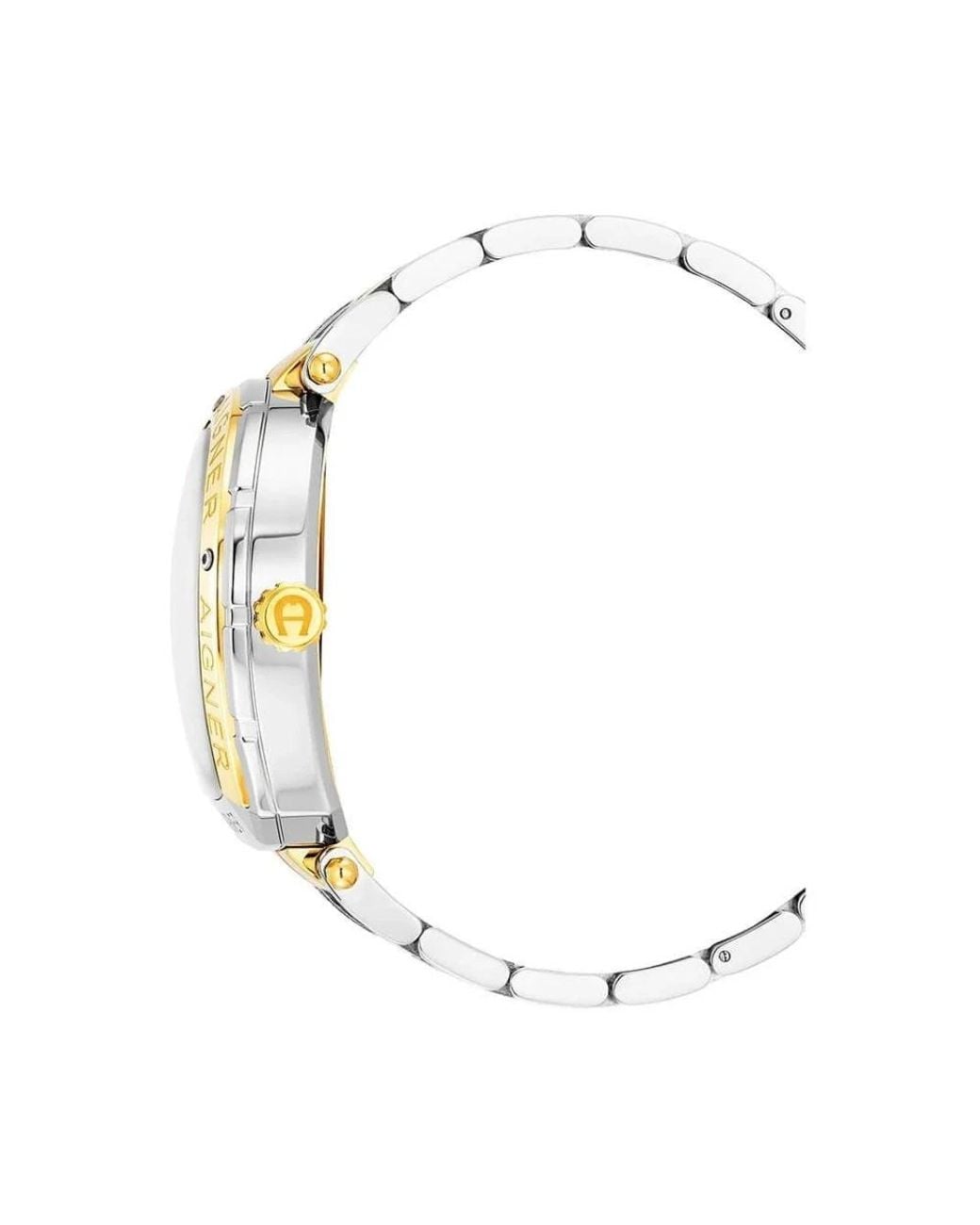 Aigner Metallic Watches for men