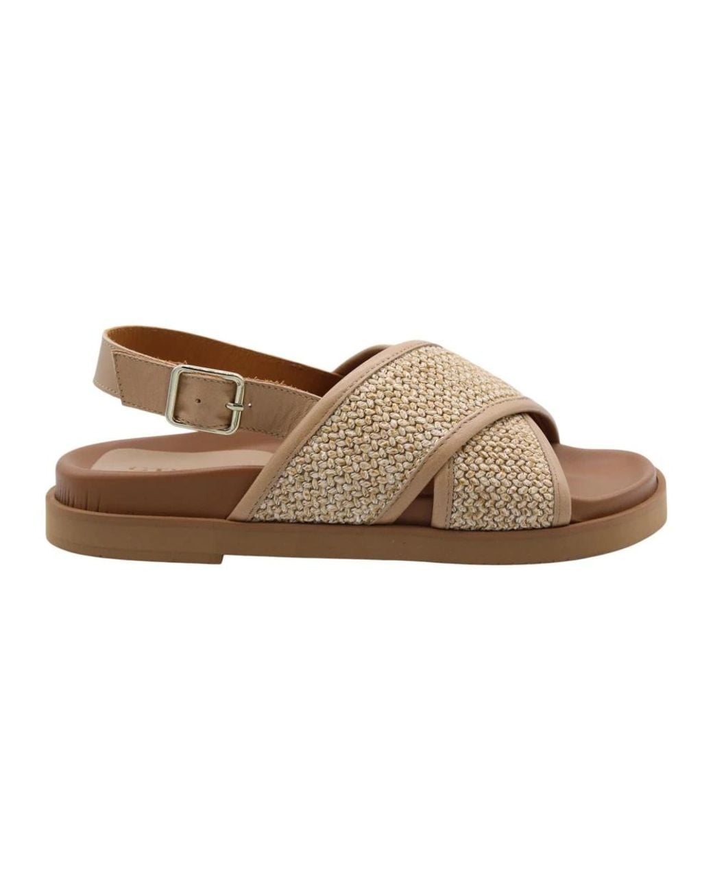 CTWLK Brown Flat Sandals