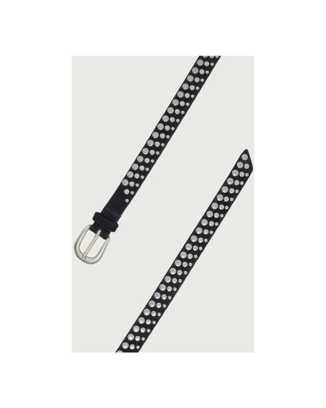 Belts di Orciani in Black