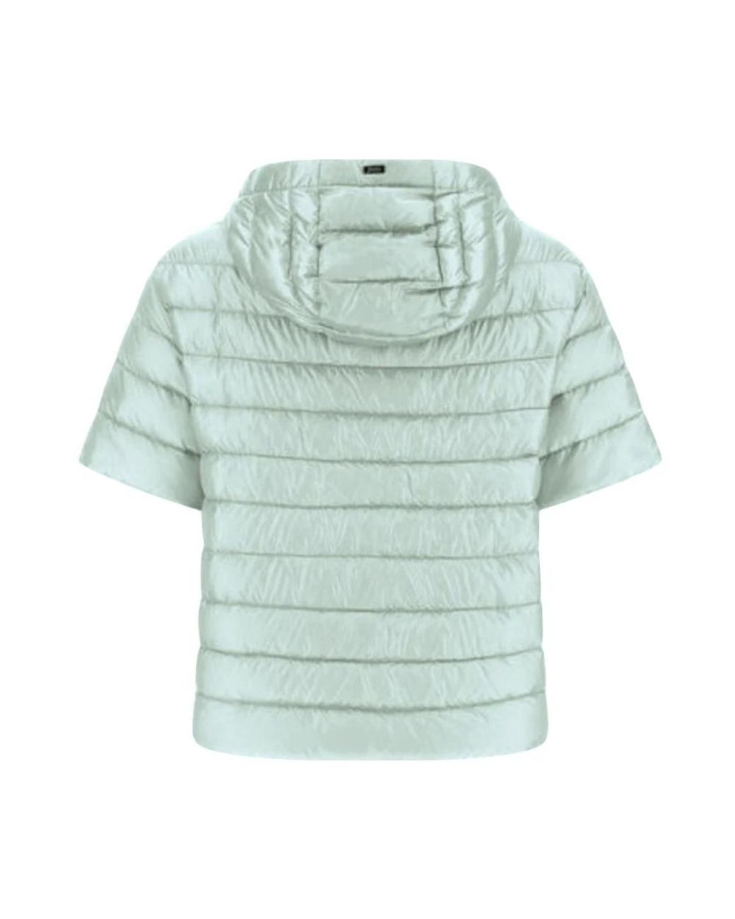 Winter Jackets Herno en coloris Green