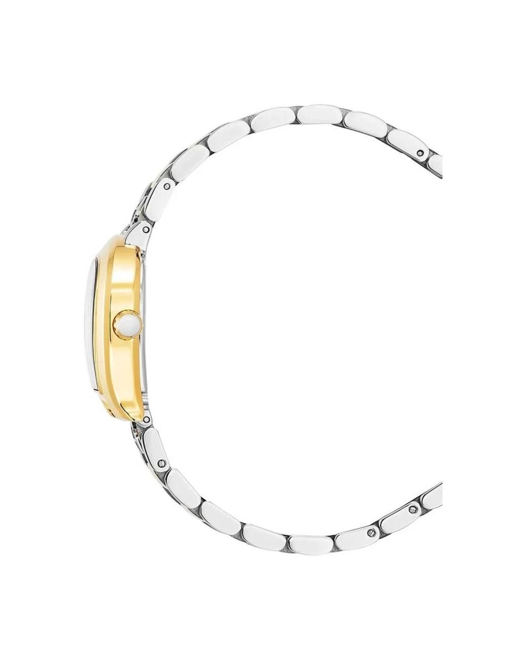 Aigner Metallic Watches