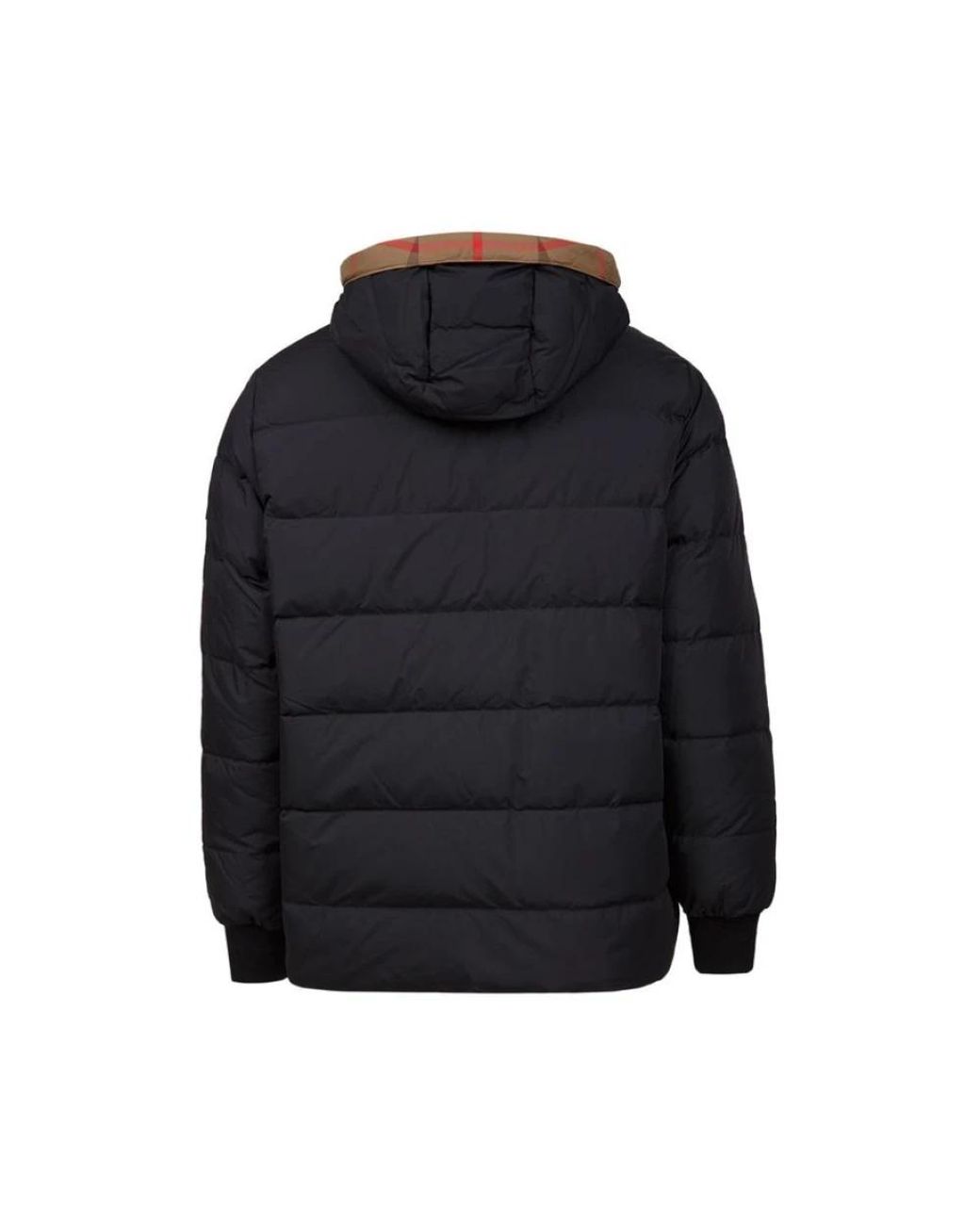 Burberry Brown Winter Jackets for men