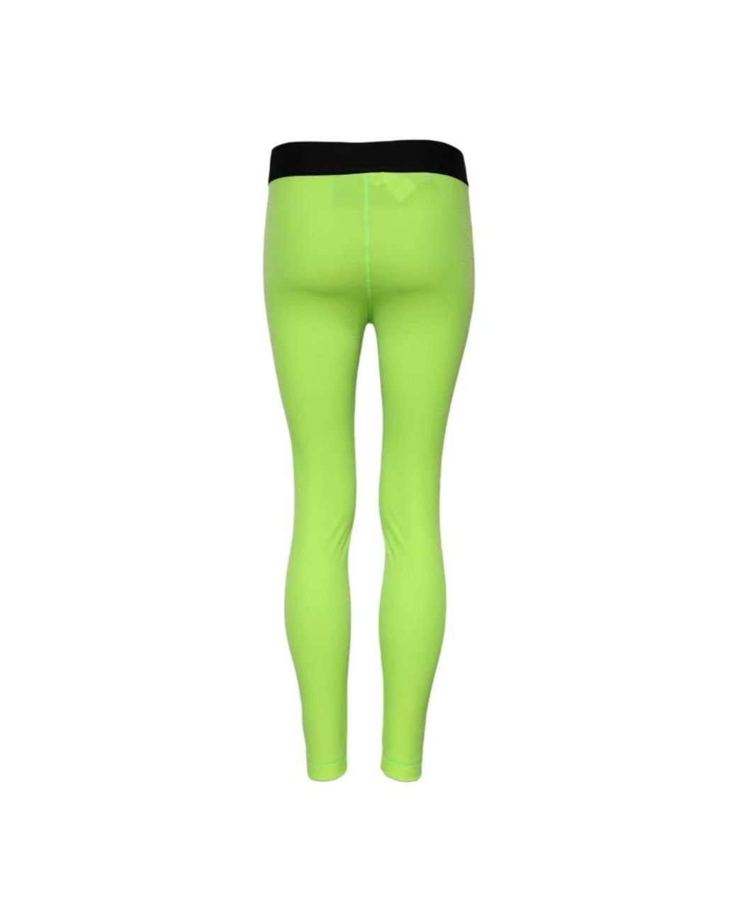Dolce & Gabbana Green Leggings