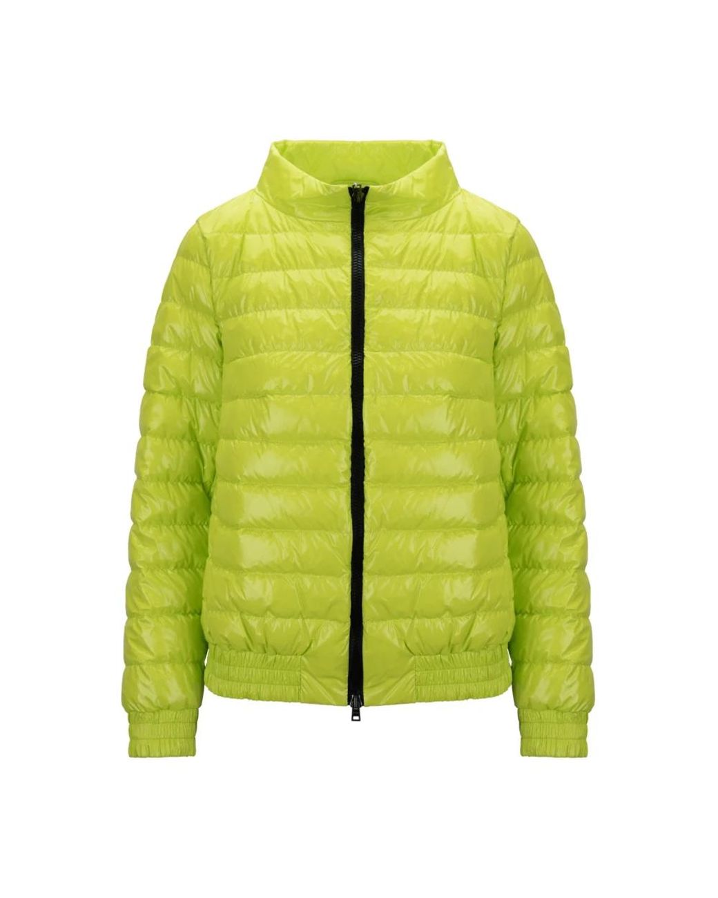 Down Jackets Herno en coloris Green