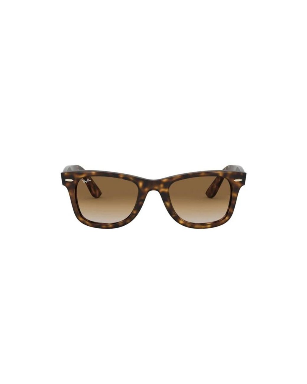 Ray-Ban Brown Sunglasses