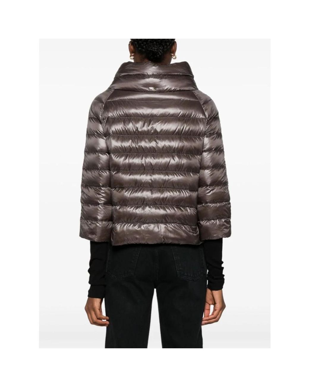 Down Jackets Herno de color Brown