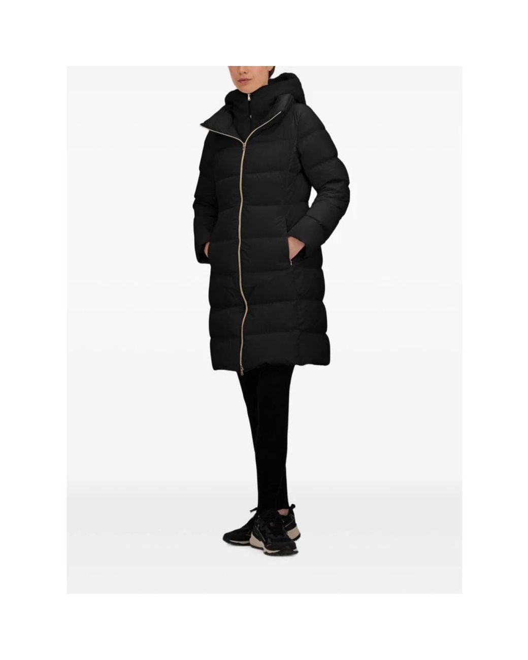 Down Coats Herno en coloris Black