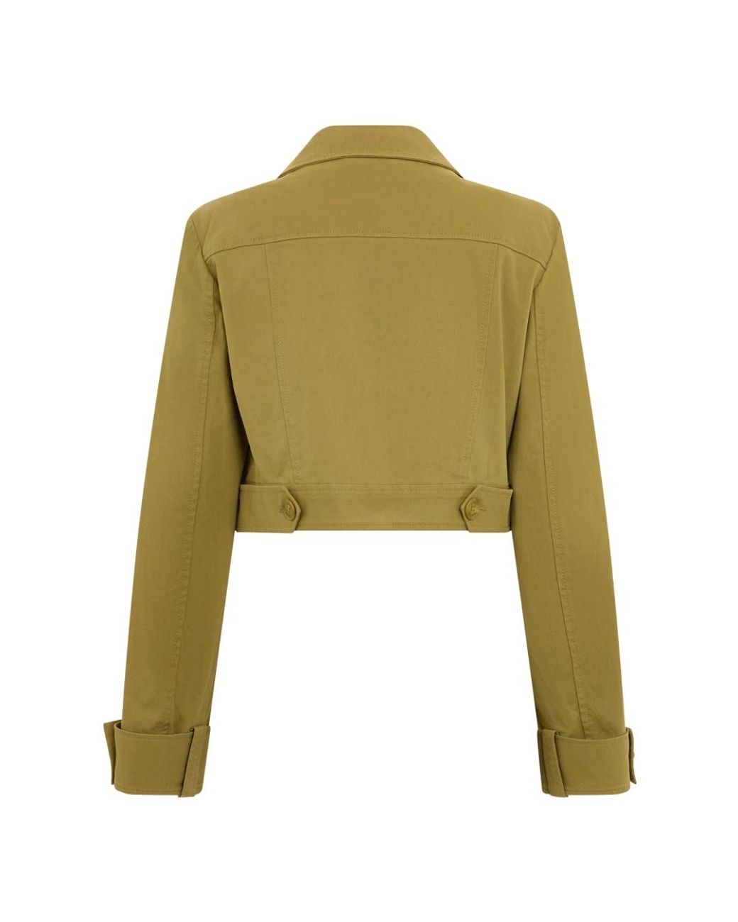 Light Jackets Alberta Ferretti de color Green