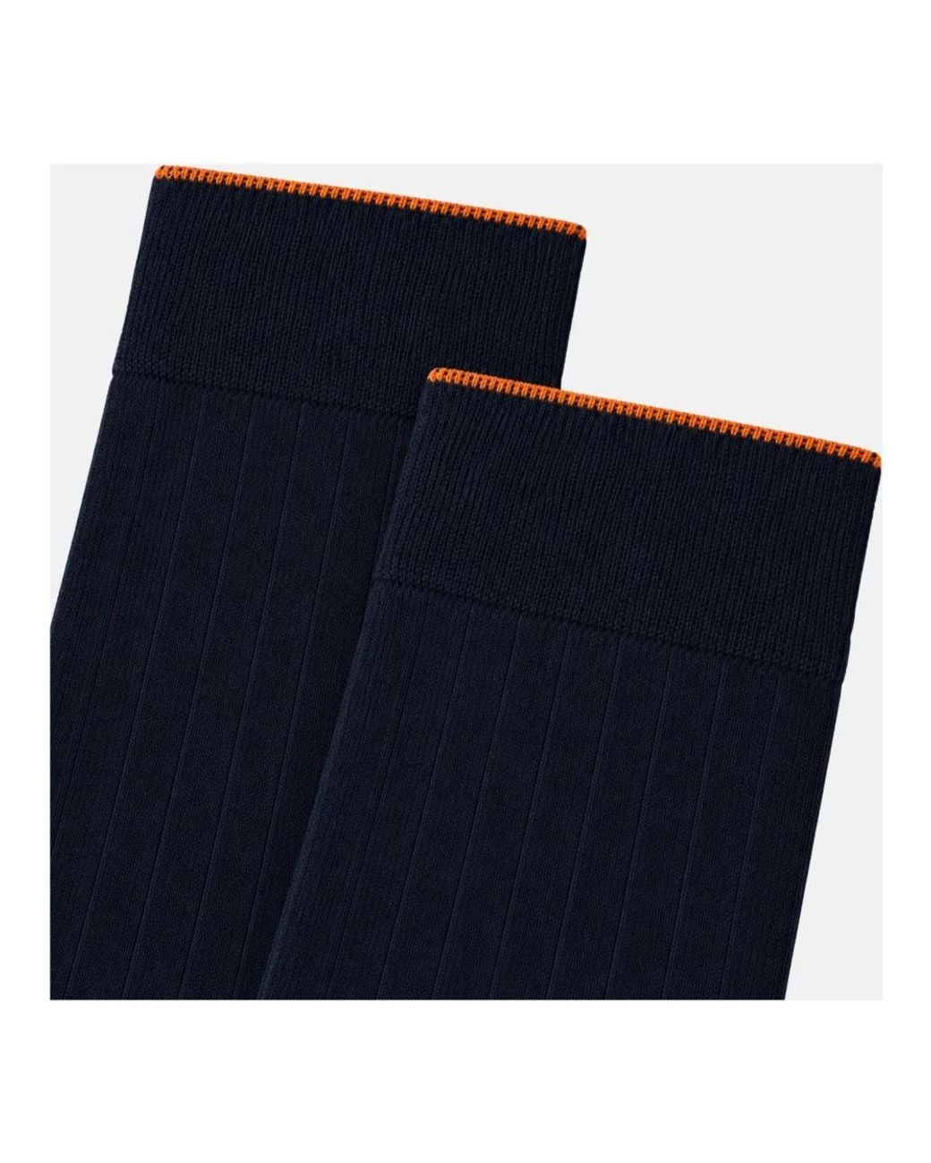 Belts Gallo de hombre de color Blue