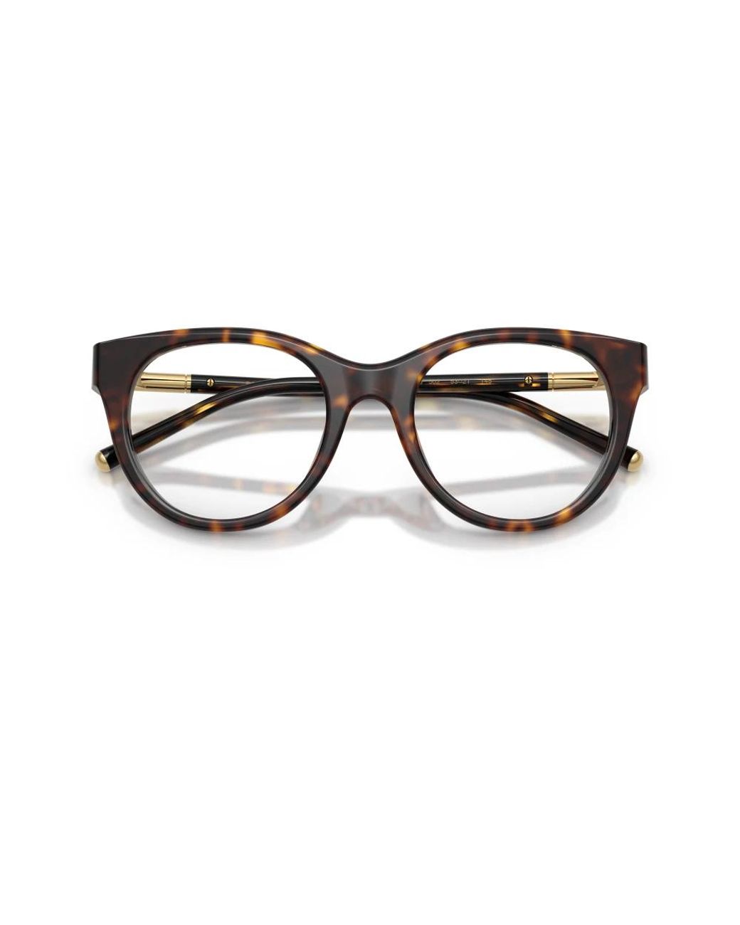 Dolce & Gabbana Brown Glasses