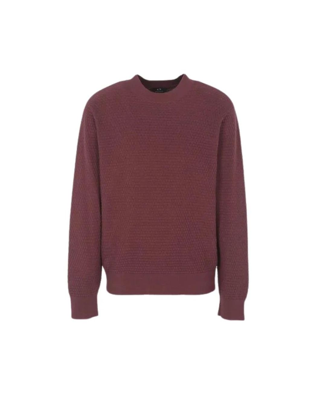 ARMANI EXCHANGE Purple Round-Neck Knitwear for men