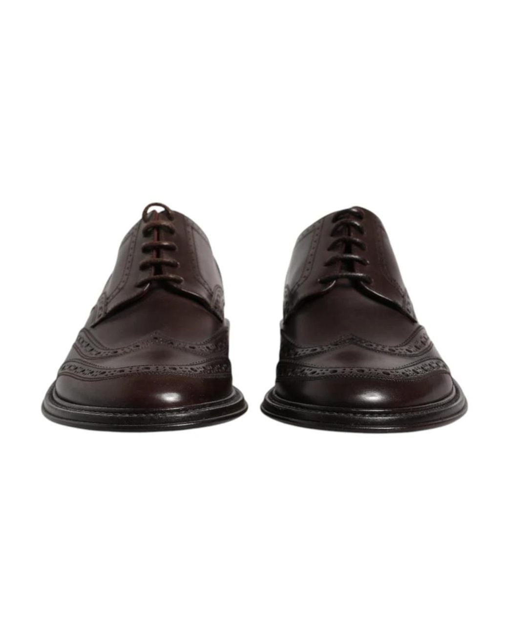 Dolce & Gabbana Brown Business Shoes for men