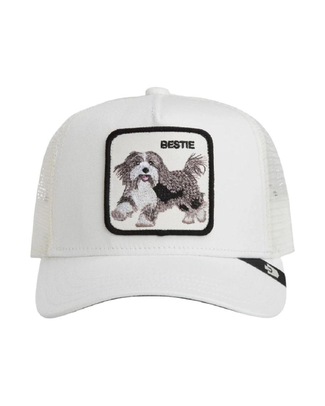 Caps di Goorin Bros in Gray da Uomo