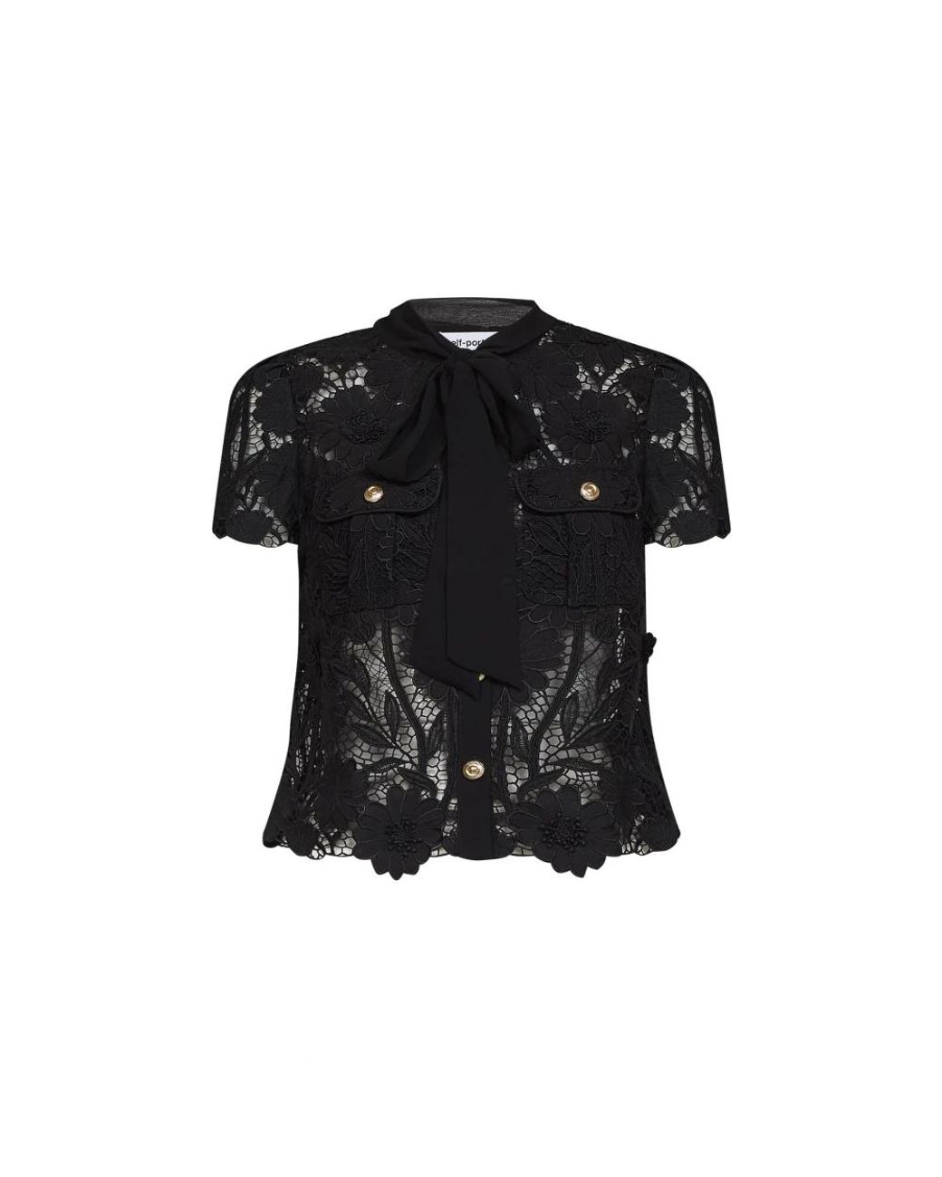 Self-Portrait Black Blouses