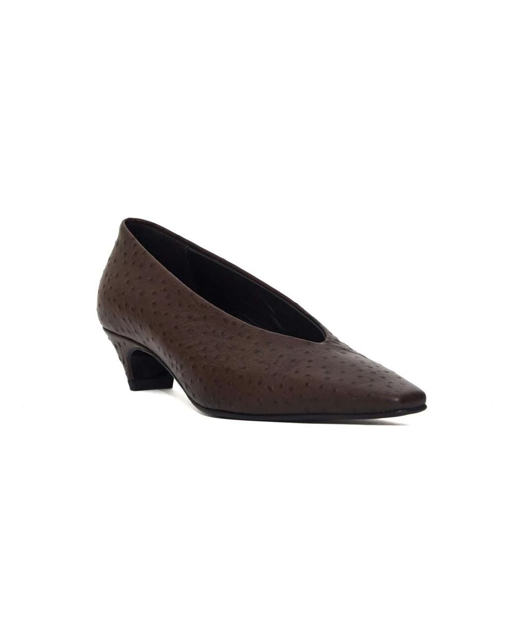 Halmanera Brown Fern01Moka Pump