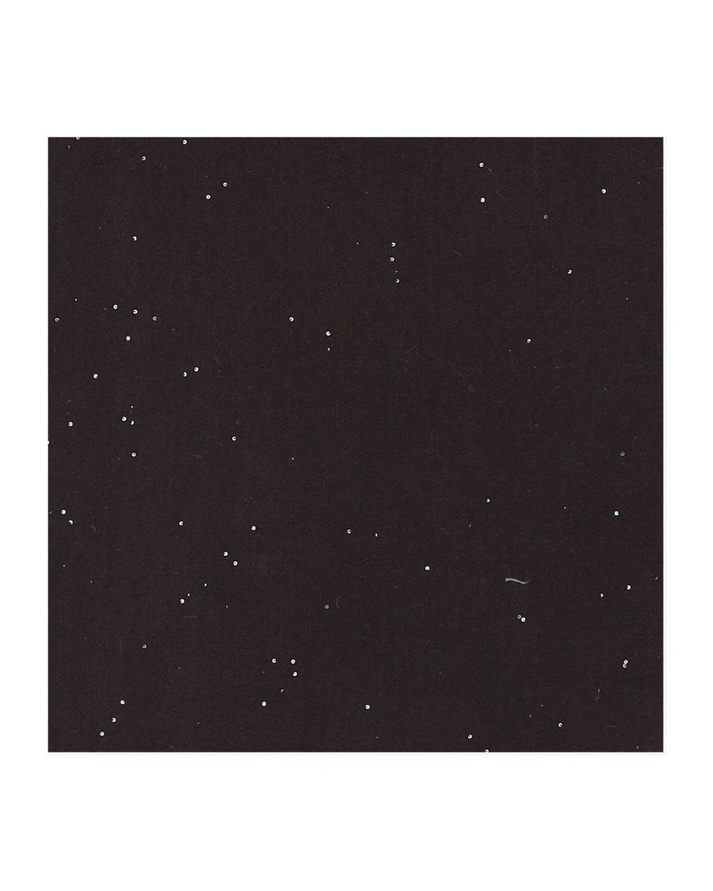 Faliero Sarti Black Winter Scarves