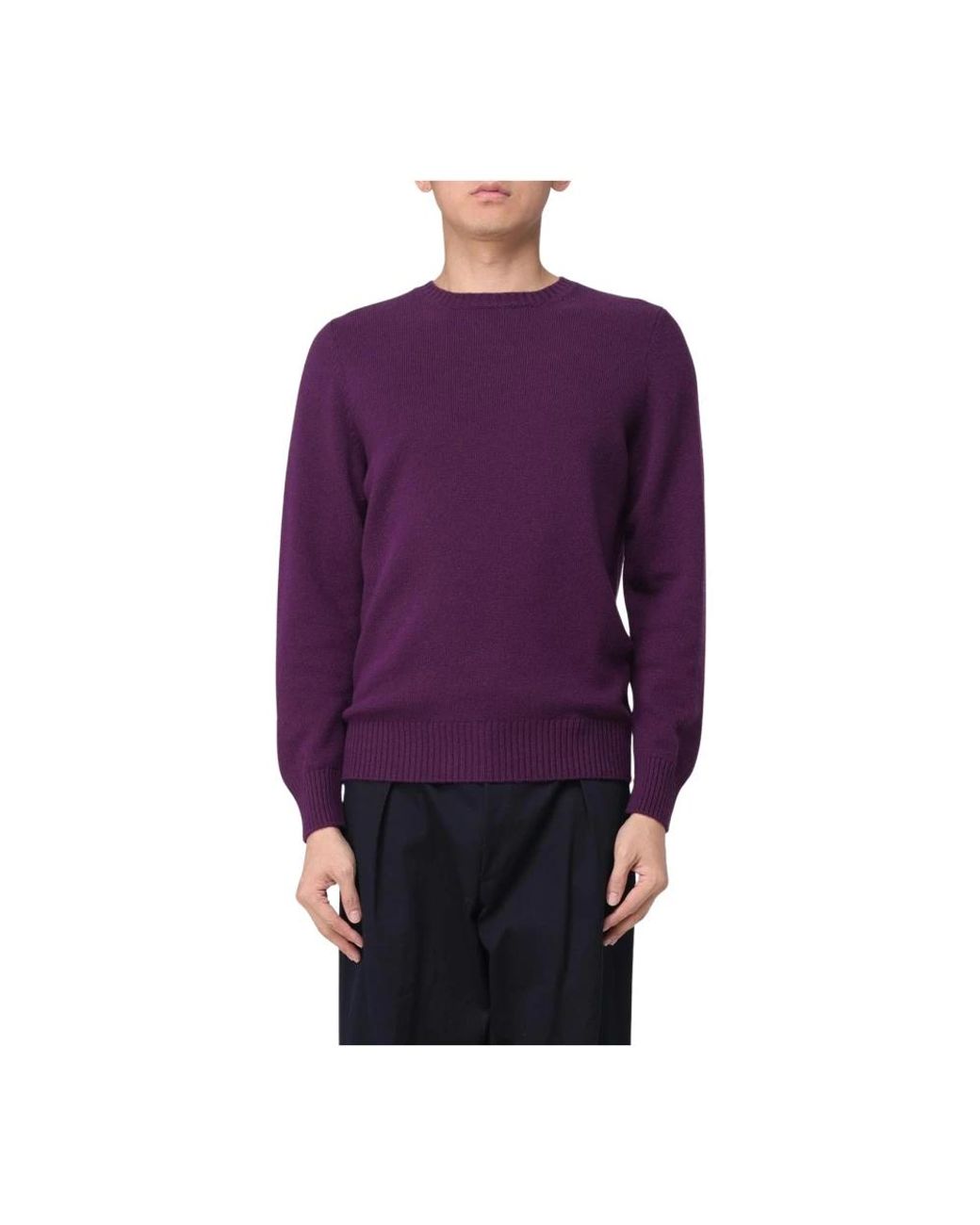Drumohr Purple Cashmere Knitwear for men