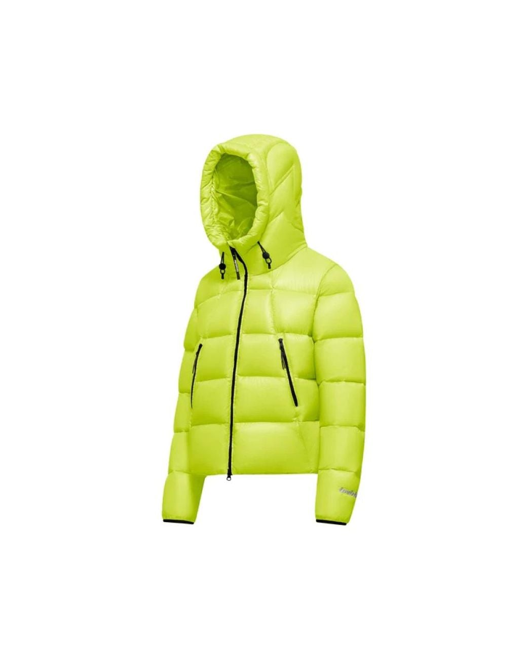 INVICTA WATCH Green Down Jackets