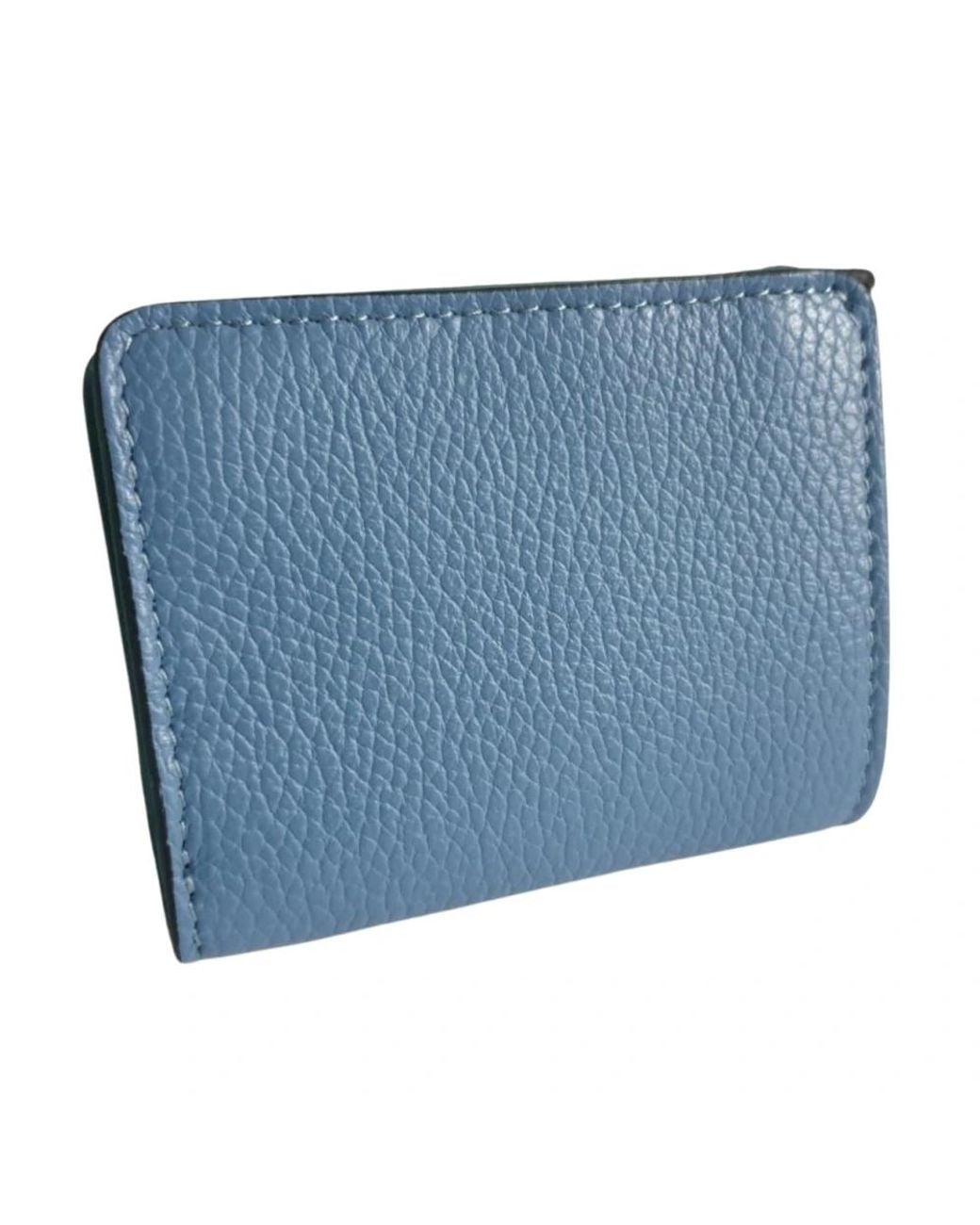 Gabs Blue Wallets & Cardholders