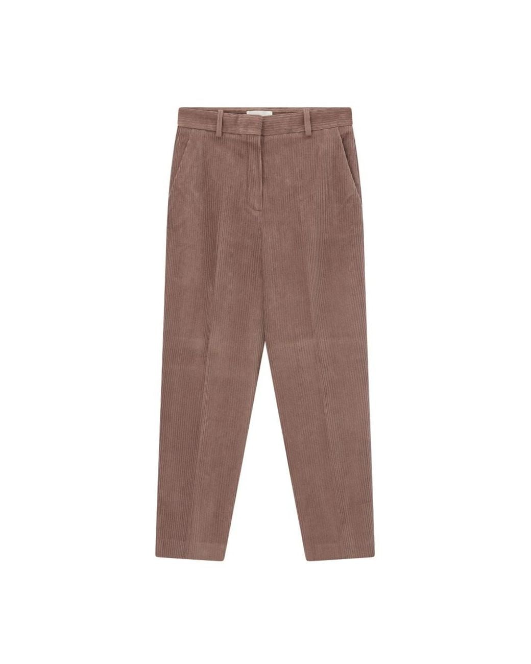 Circolo 1901 Brown Tapered Trousers