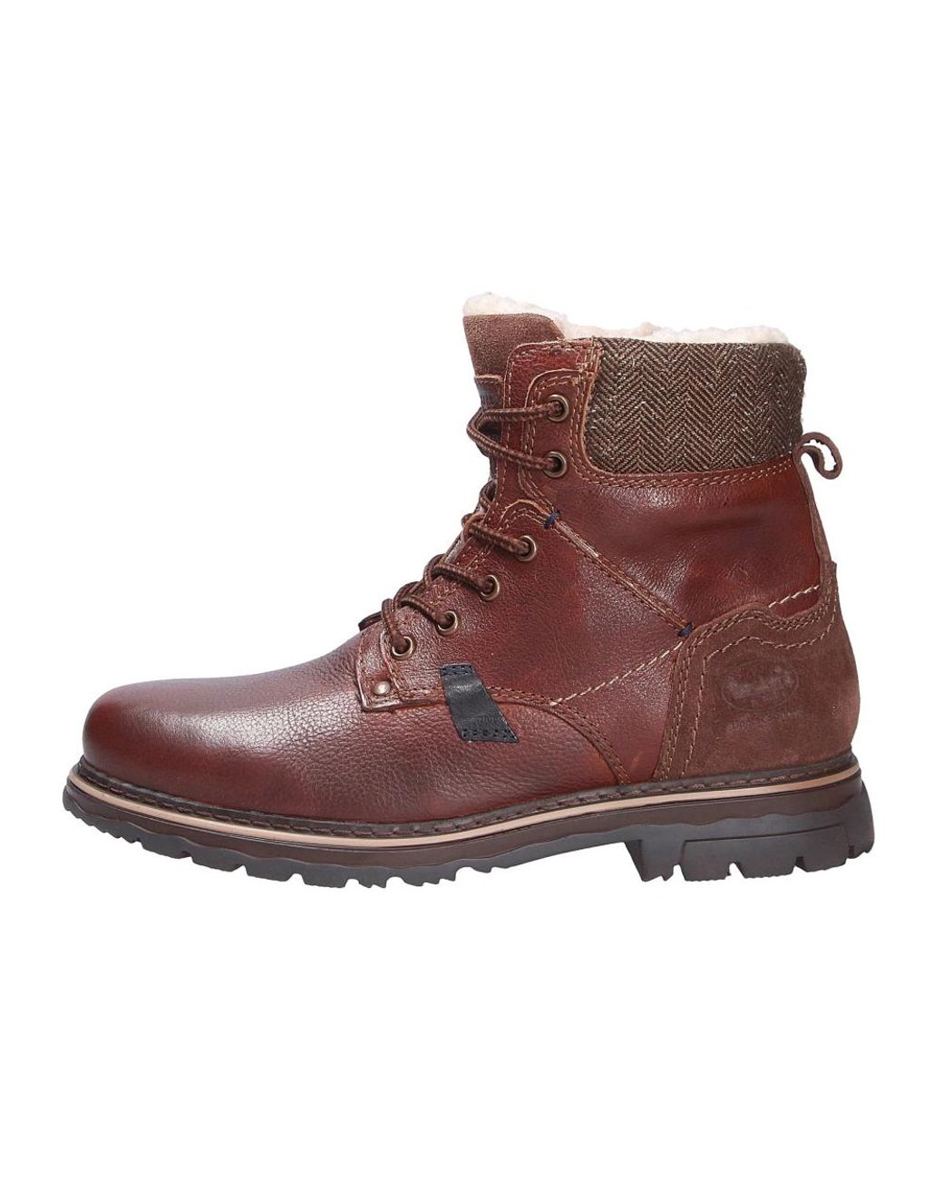 Dockers Winterstiefel in Brown für Herren