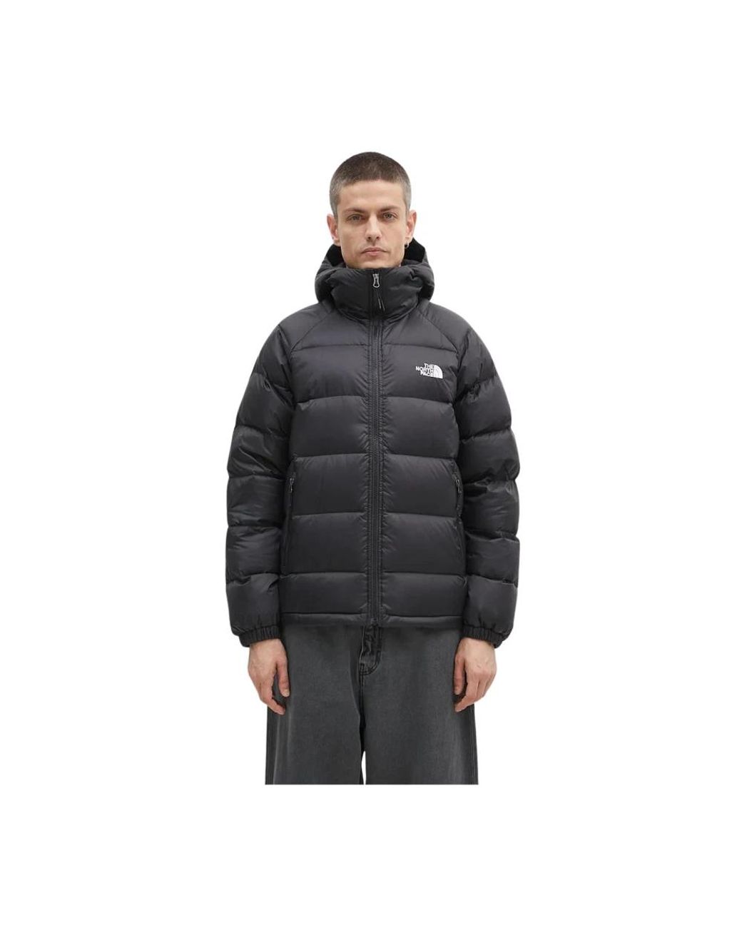The North Face Winter Jackets in het Black voor heren