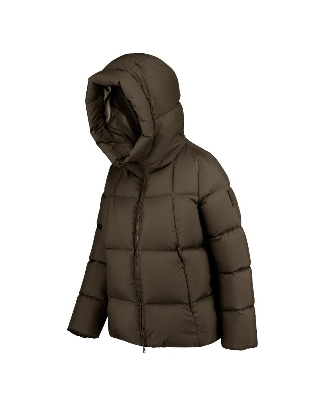 Winter Jackets Bomboogie de color Green