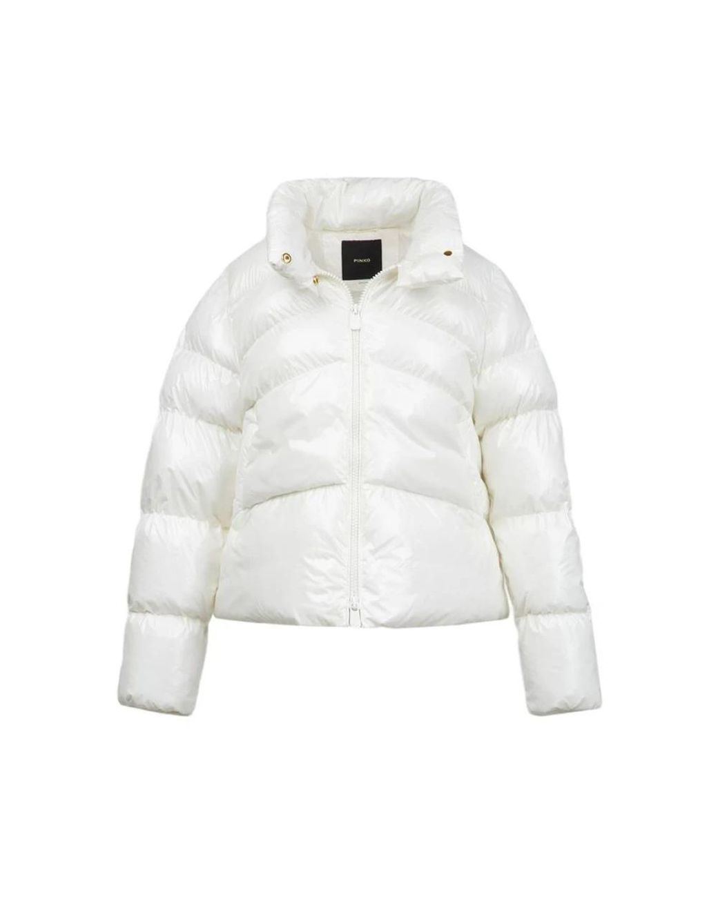 Pinko Eleodoro Down Jacket in het White