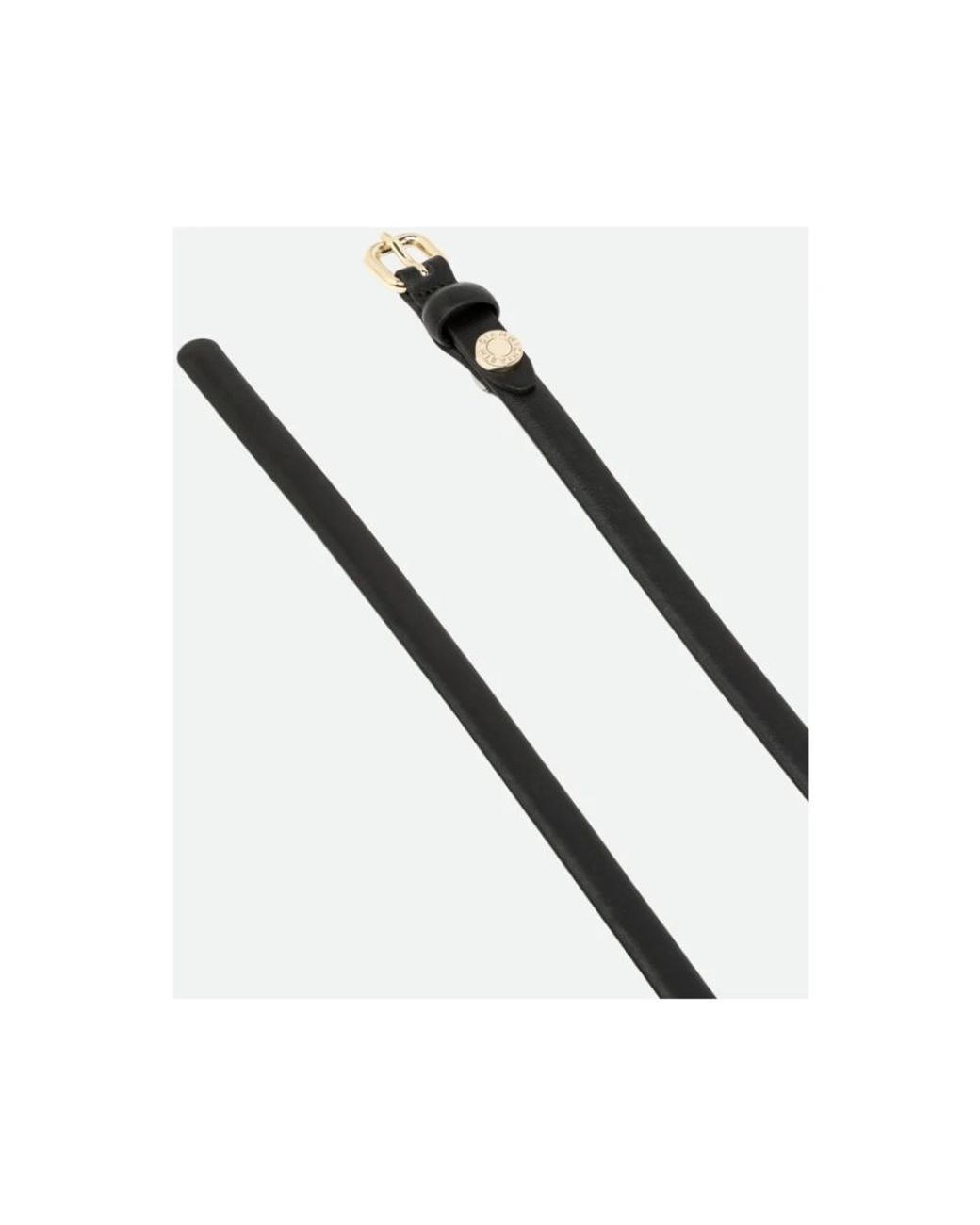 Gianni Chiarini Black Belts