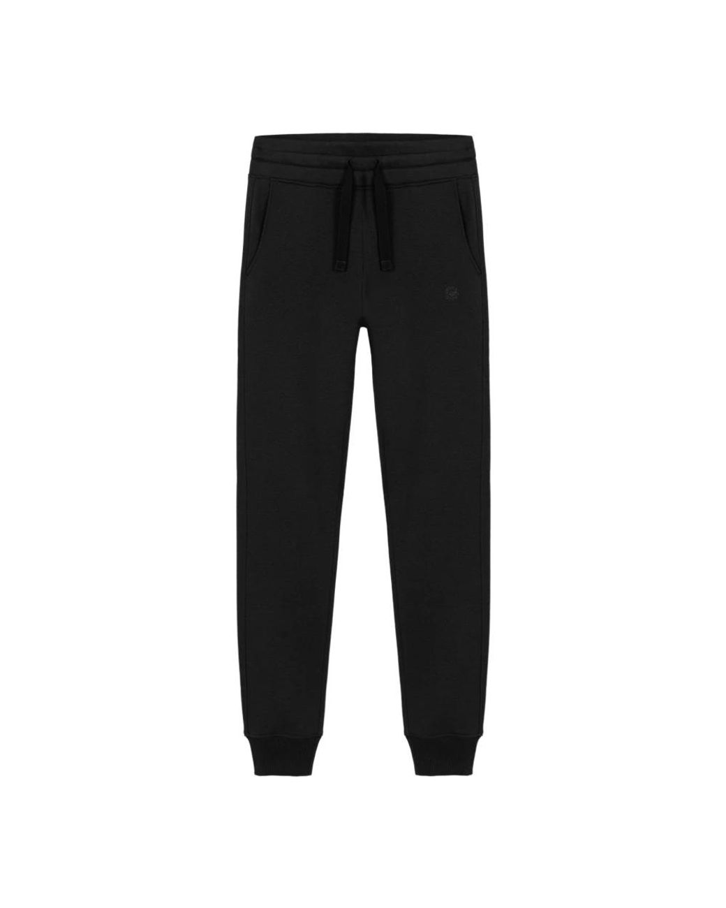 Colmar Broeken ,Zwart ,Katoen Zwarte Fluwelen Broek Met Glitterprint in het Black