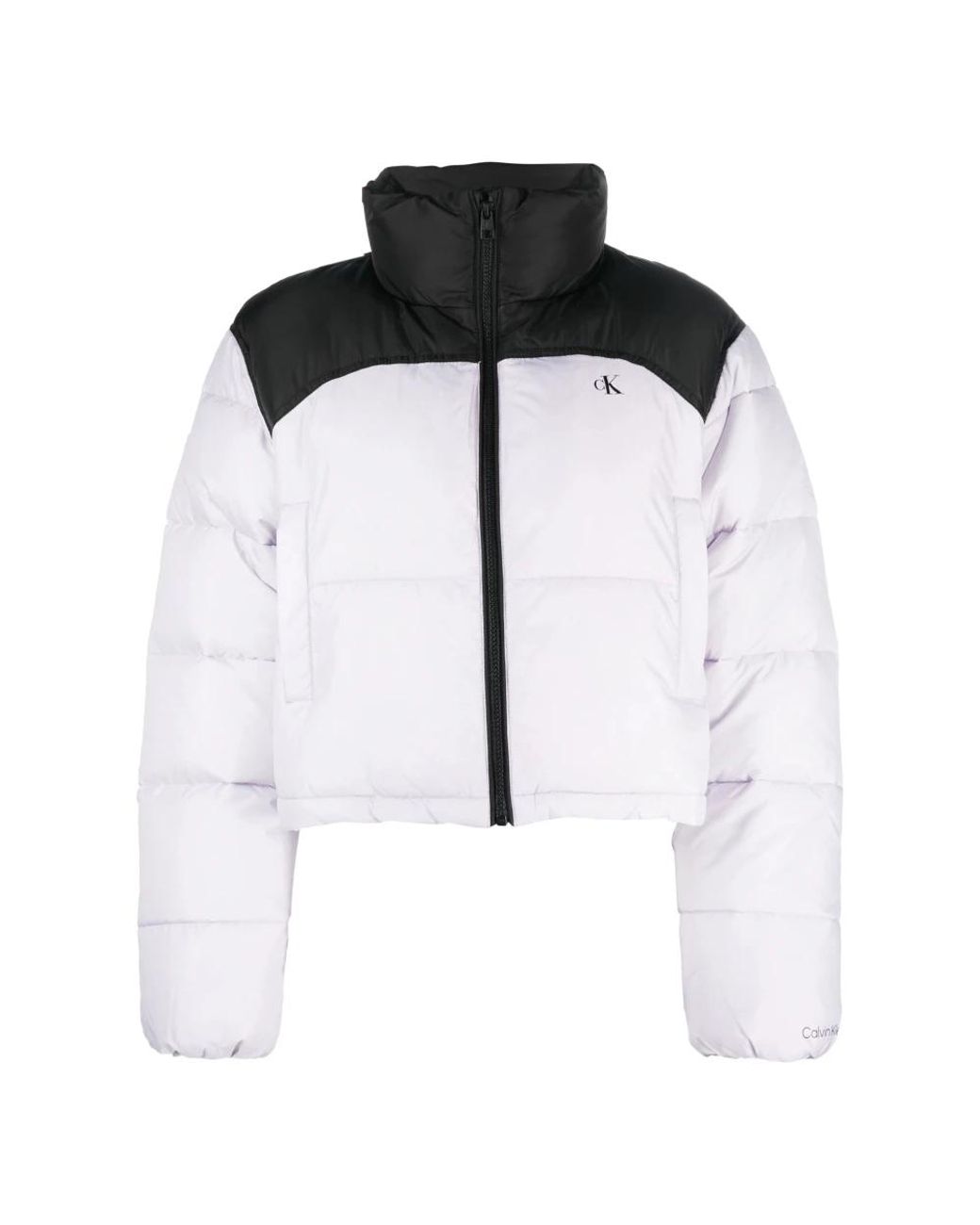 Calvin Klein Winter Jackets in het Black