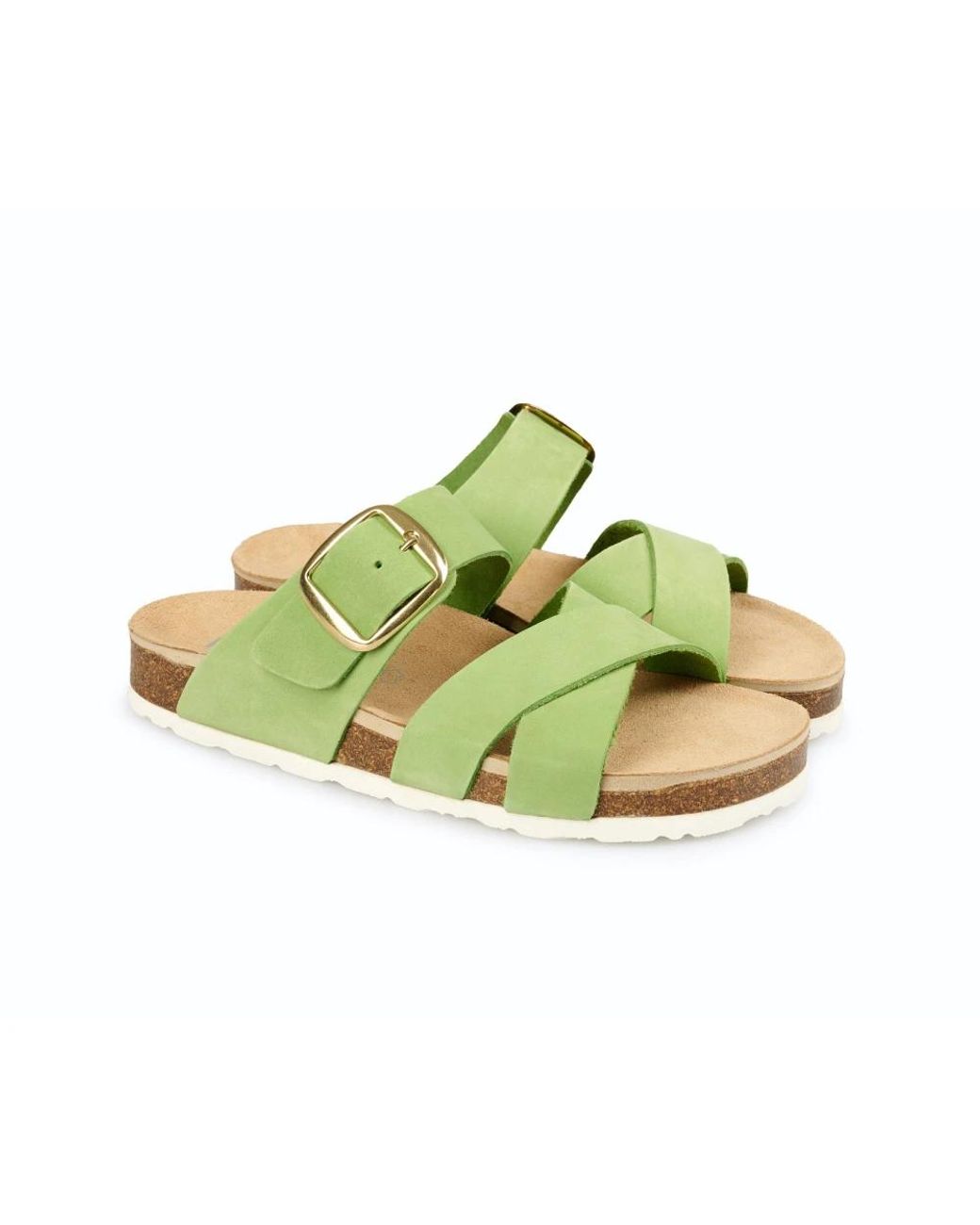 Sliders di Rohde in Green
