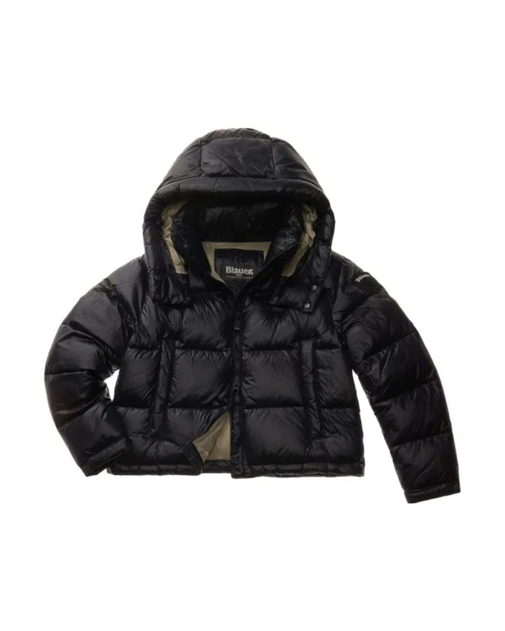 Blauer Jassen ,Zwart ,Nylon Zwarte Winterjas Met Afneembare Kraag in het Black