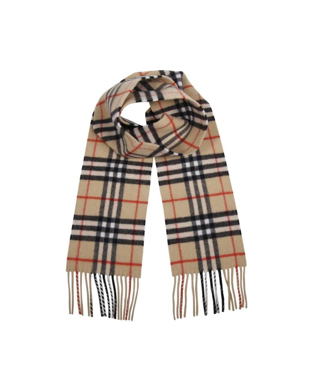 Burberry Multicolor Winter Scarves