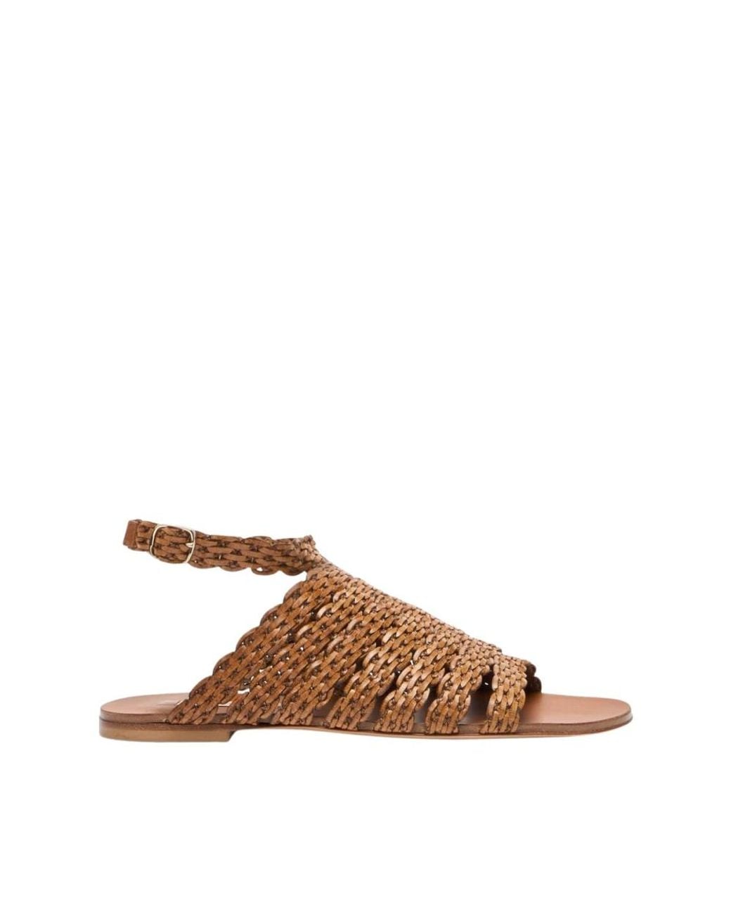 Casadei Brown Avenida Flat Sandal