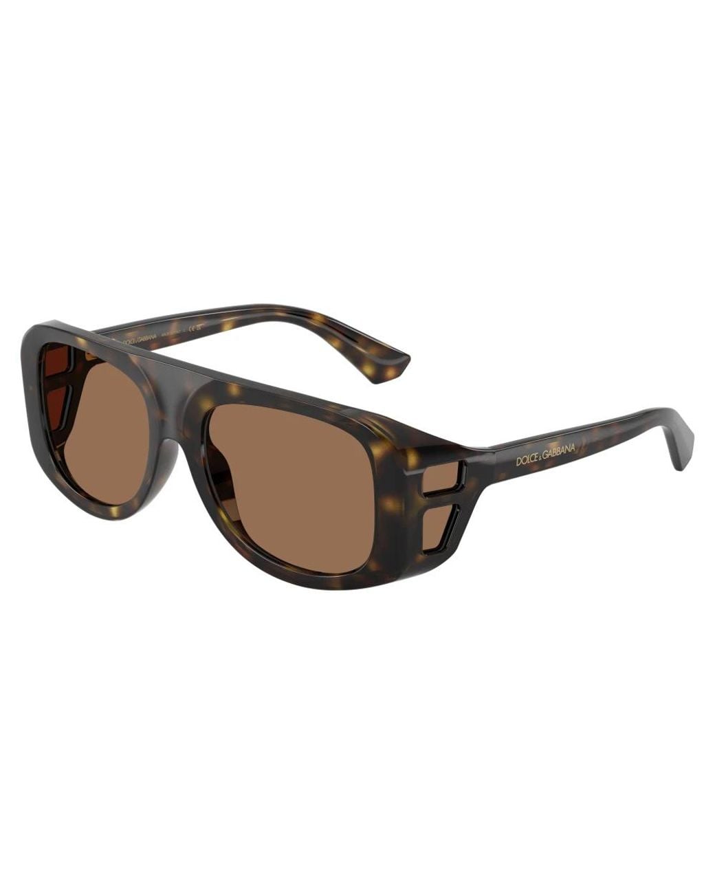 Dolce & Gabbana Brown Sunglasses