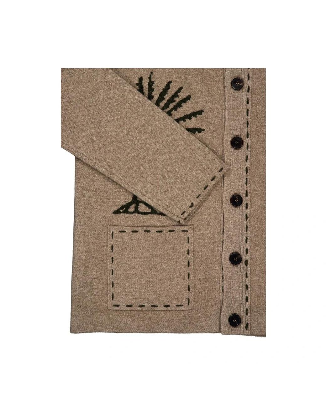 BAZISZT Brown Cashmere Knitwear for men