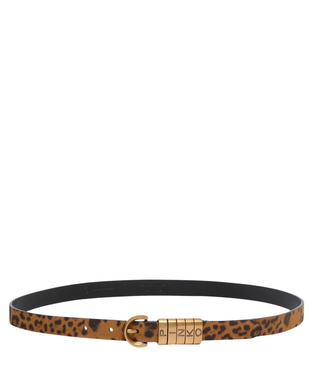 Pinko Accessoires ,Veelkleurig Accessories in het Black