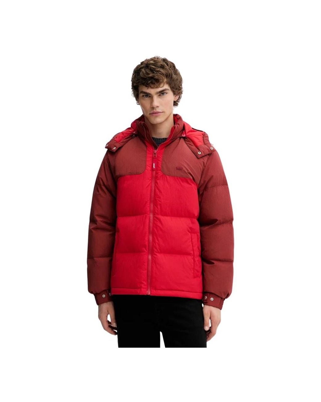 Down Jackets Levi's pour homme en coloris Red
