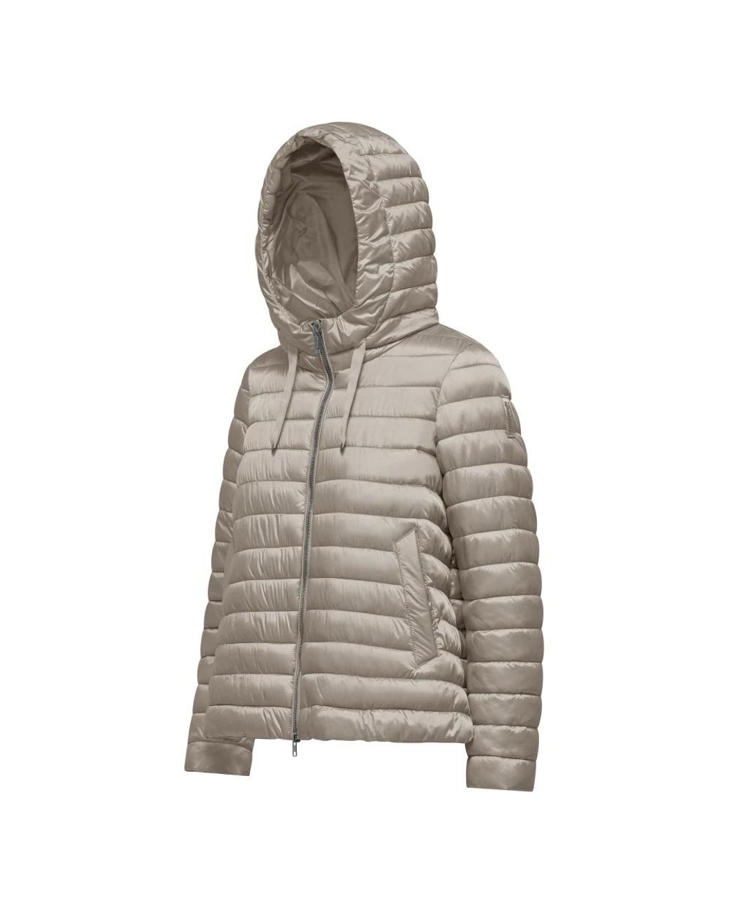 Winter Jackets Bomboogie de color Gray