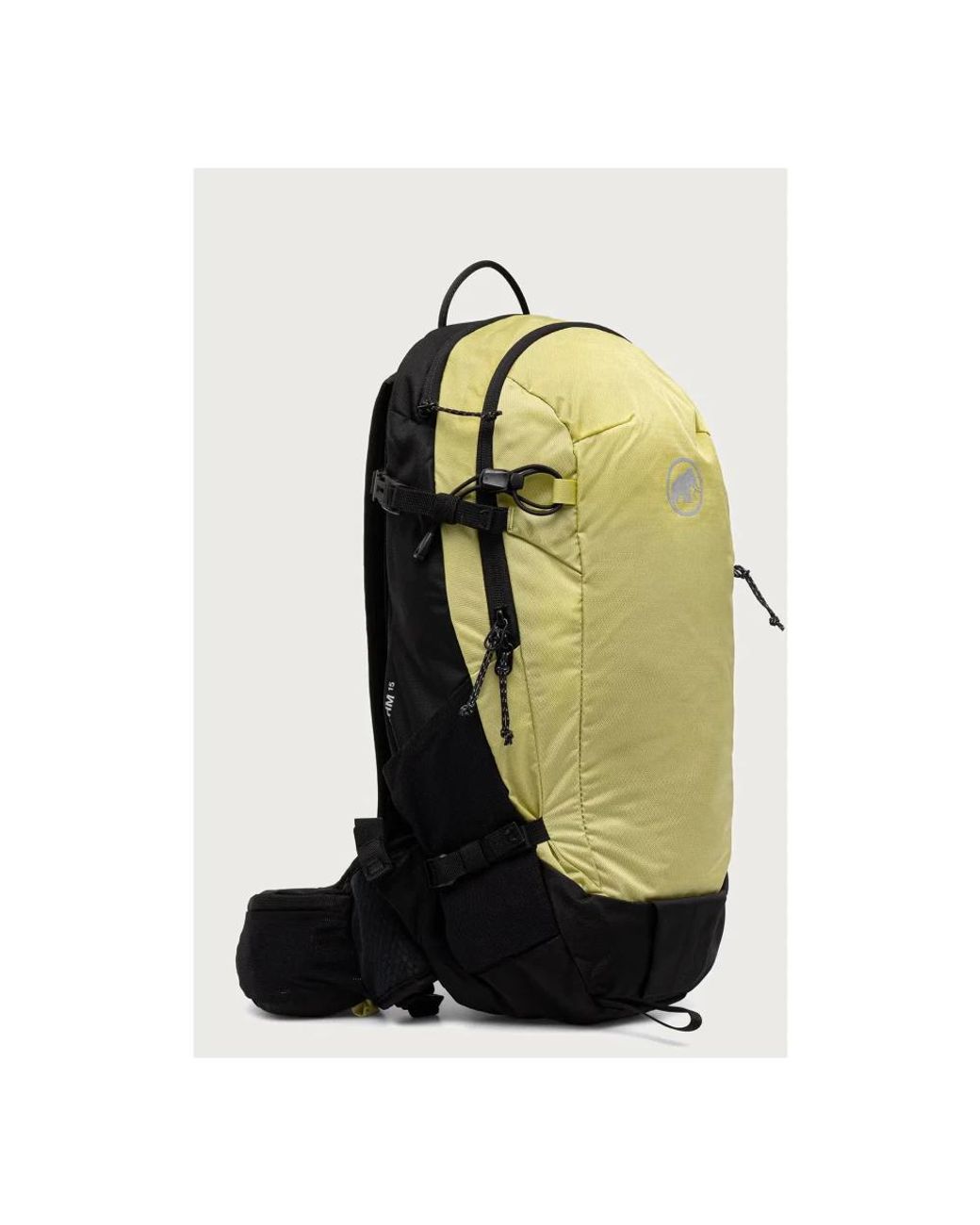 Backpacks di Mammut in Green