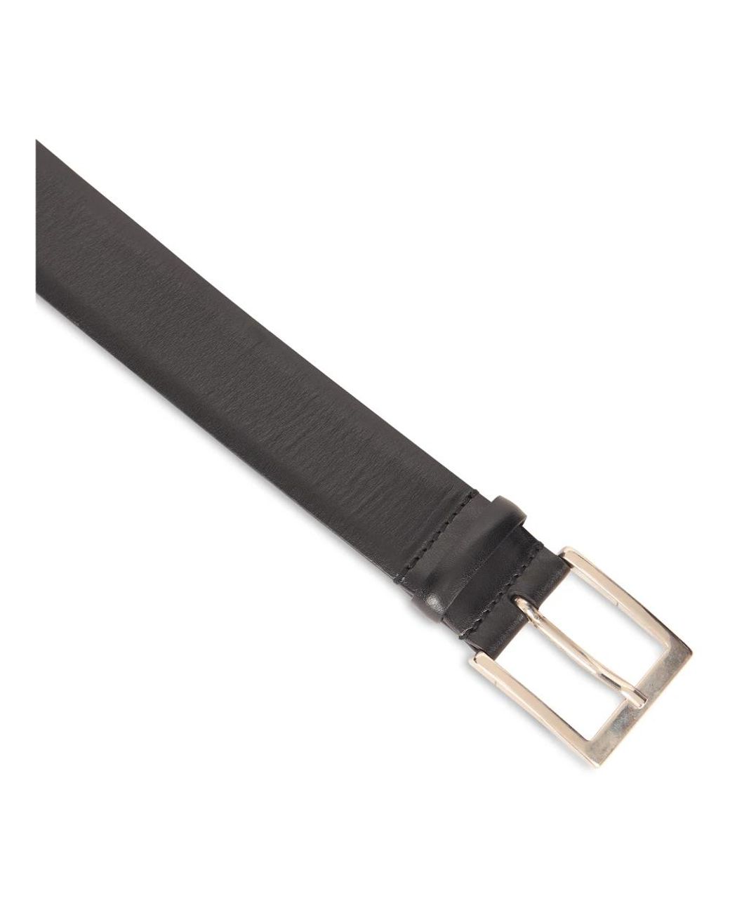 Alberta Ferretti Gray Belts