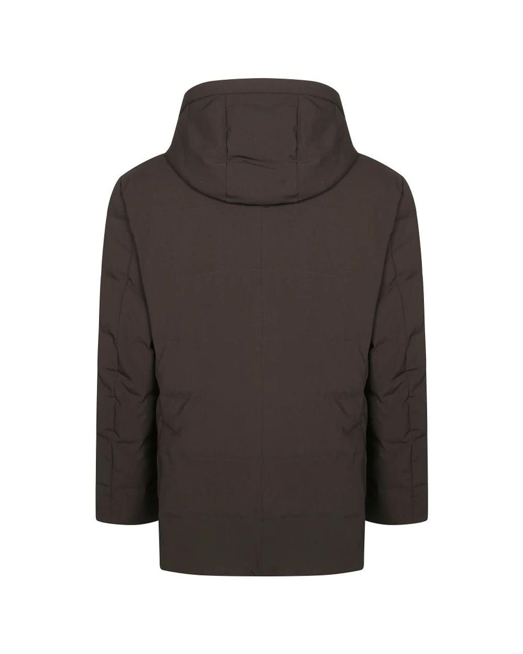 Montecore Black Winter Jackets for men