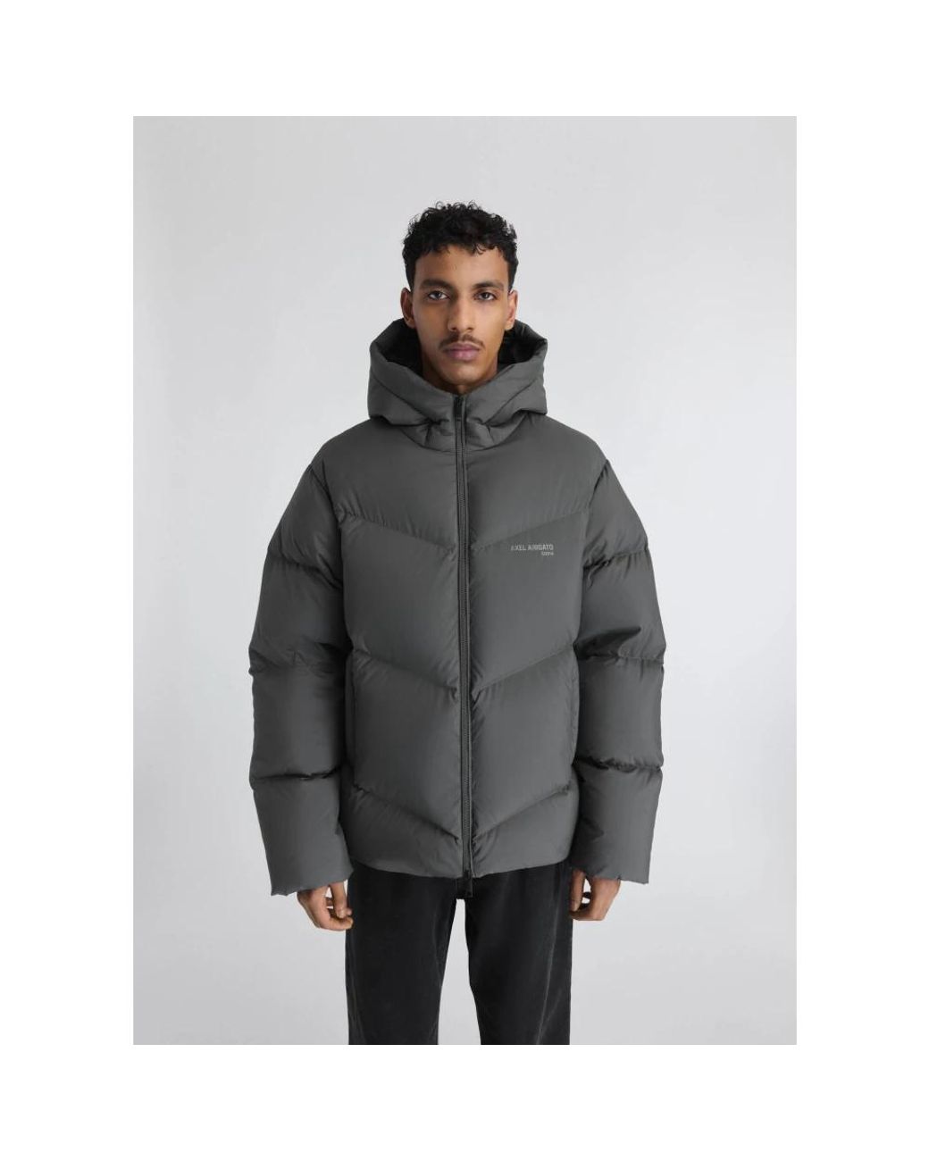 Winter Jackets Axel Arigato de hombre de color Gray