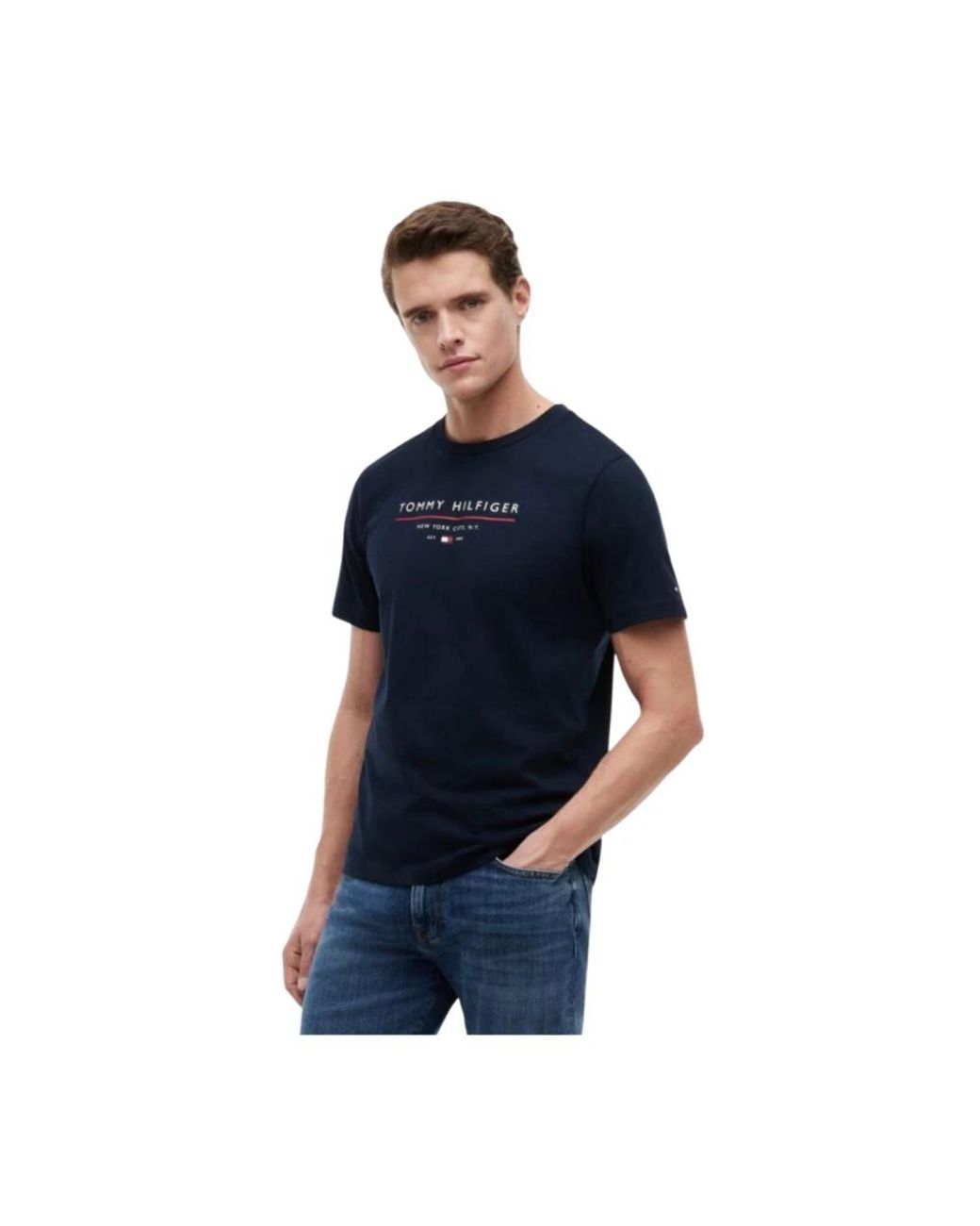 Tommy Hilfiger Blue T-Shirts for men