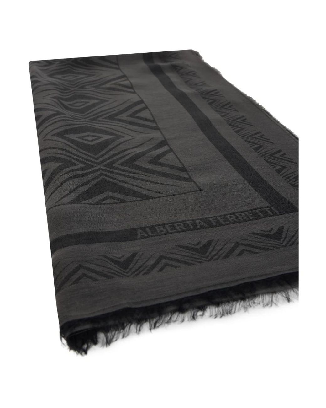 Alberta Ferretti Black Winter Scarves