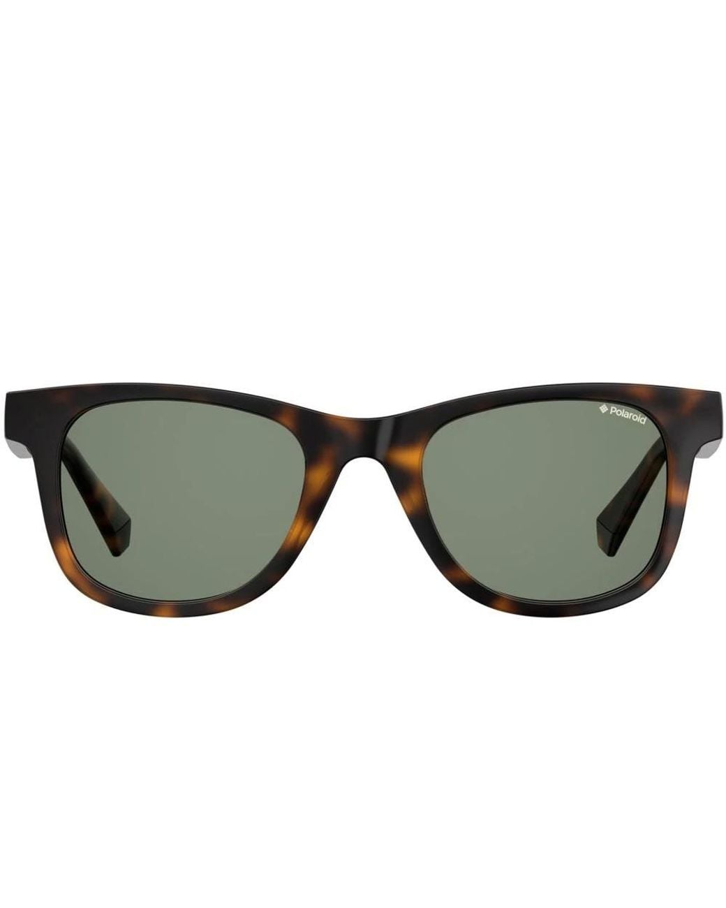 Polaroid Brown Sunglasses for men